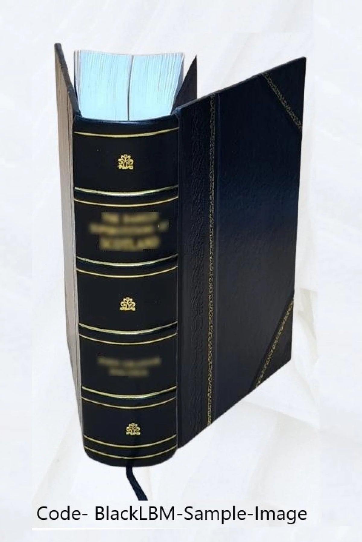 Electrical Papers Volume 2nd 1894 Leather Bound D267425