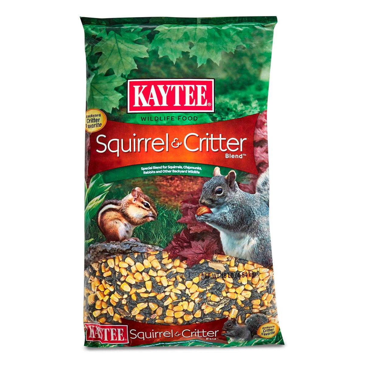 Squirrel Food W4831