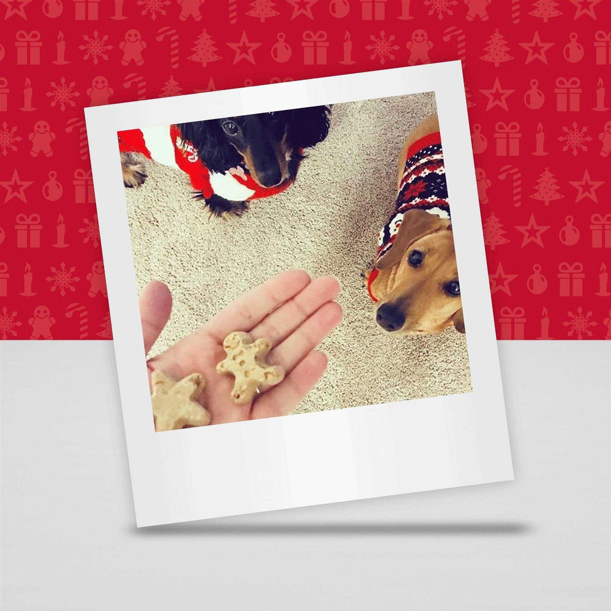 Oatmeal & Cinnamon Dog Biscuits V97131