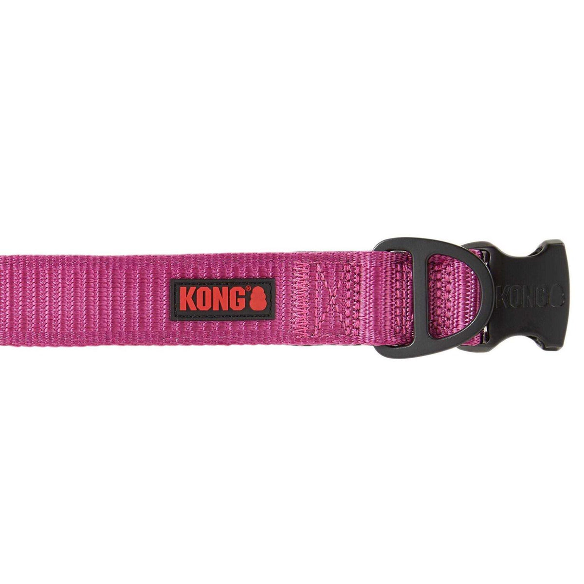 Dog Collar T1184