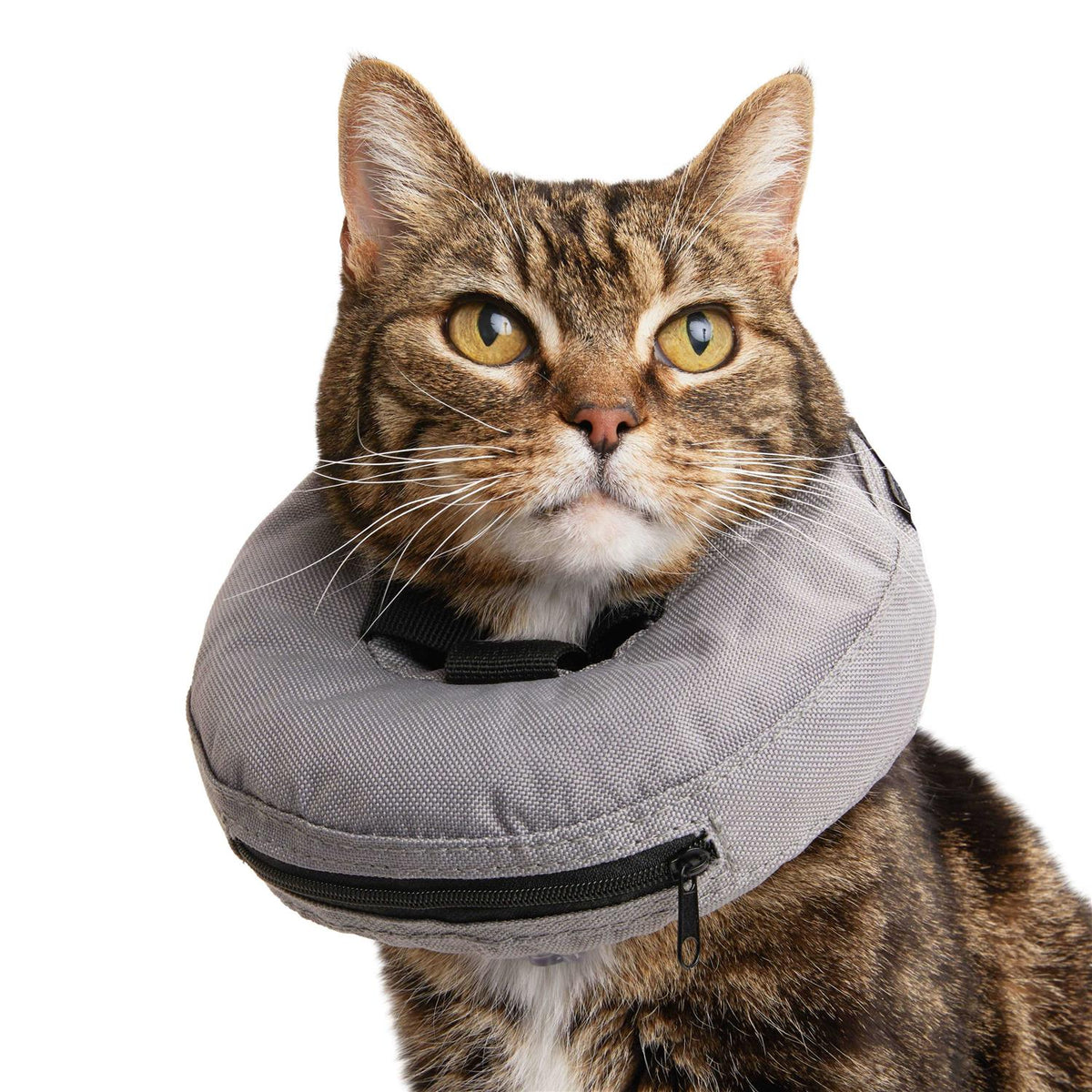 Inflatable Recovery Cat Collar V6968
