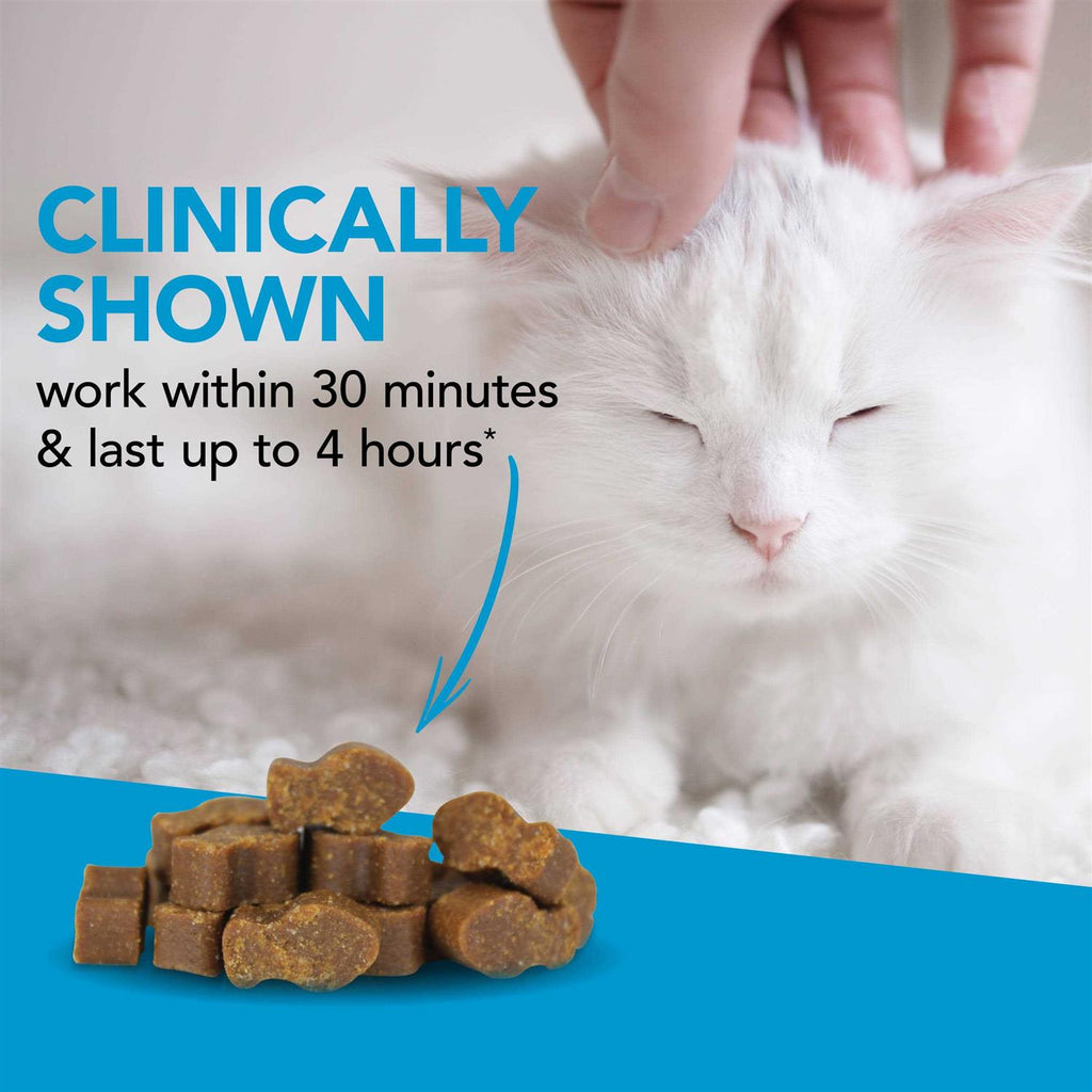 Cat Supplies I849