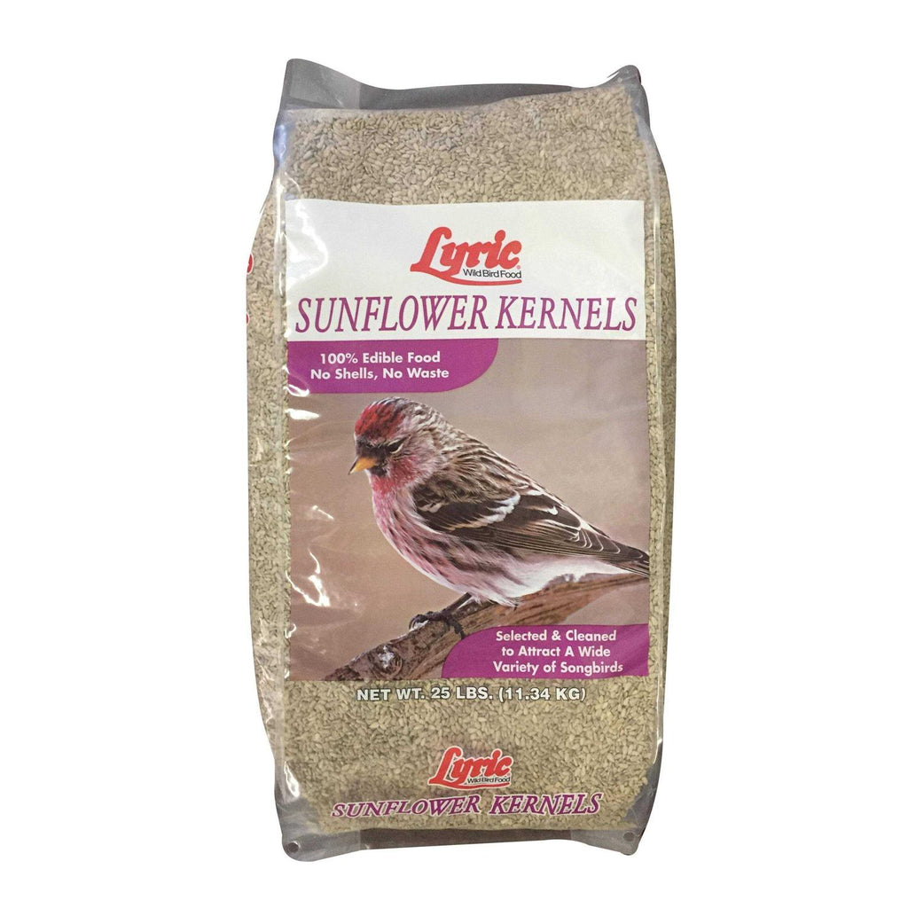 Sunflower Kernels Pet Supplies J247