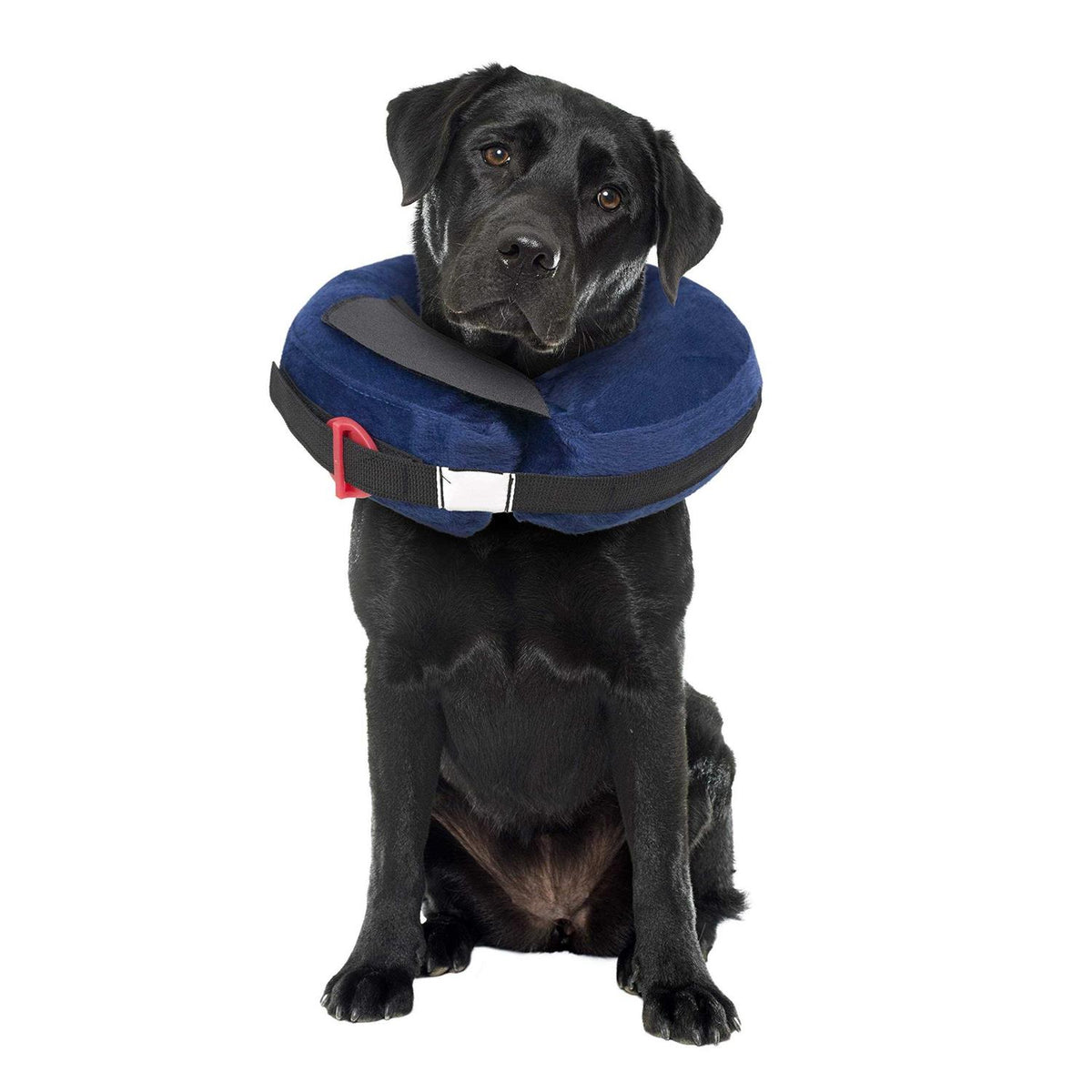 Inflatable Protective Collar N878