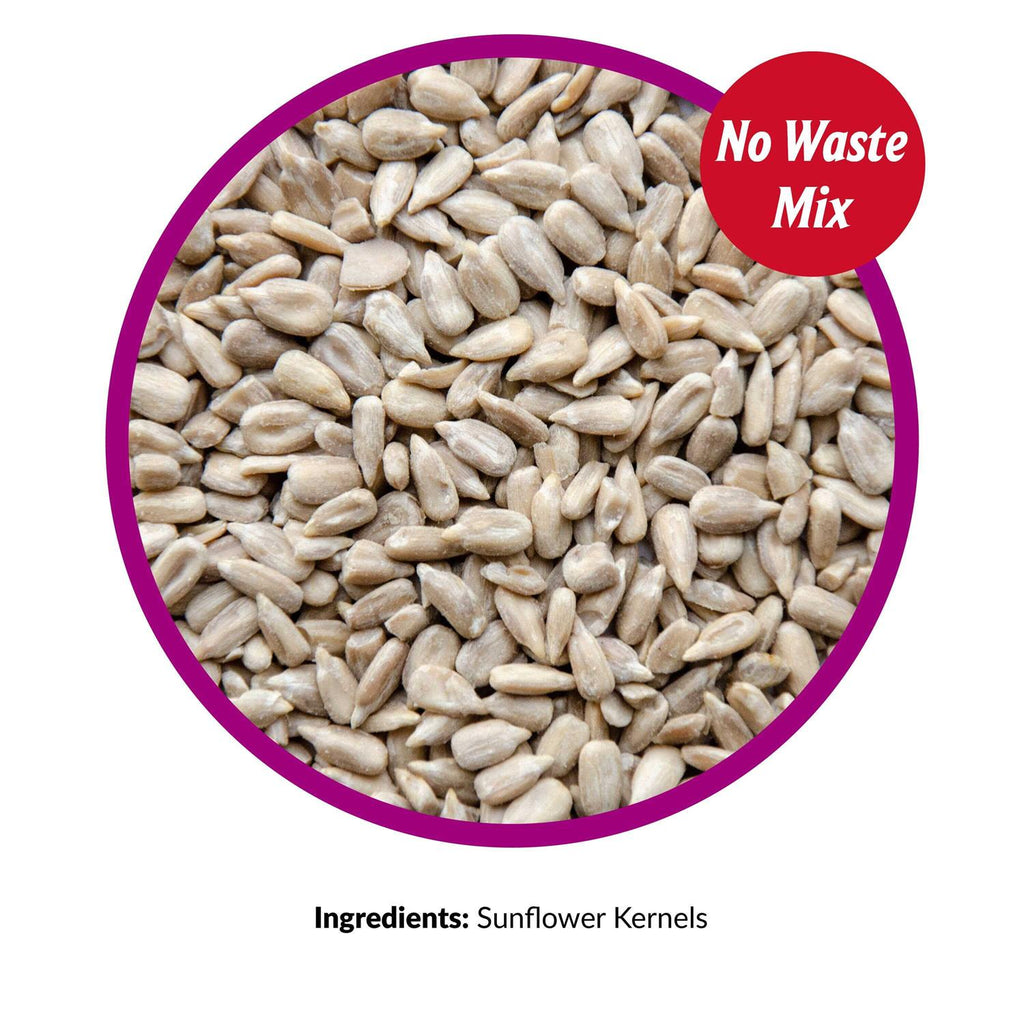 Sunflower Kernels Pet Supplies J247