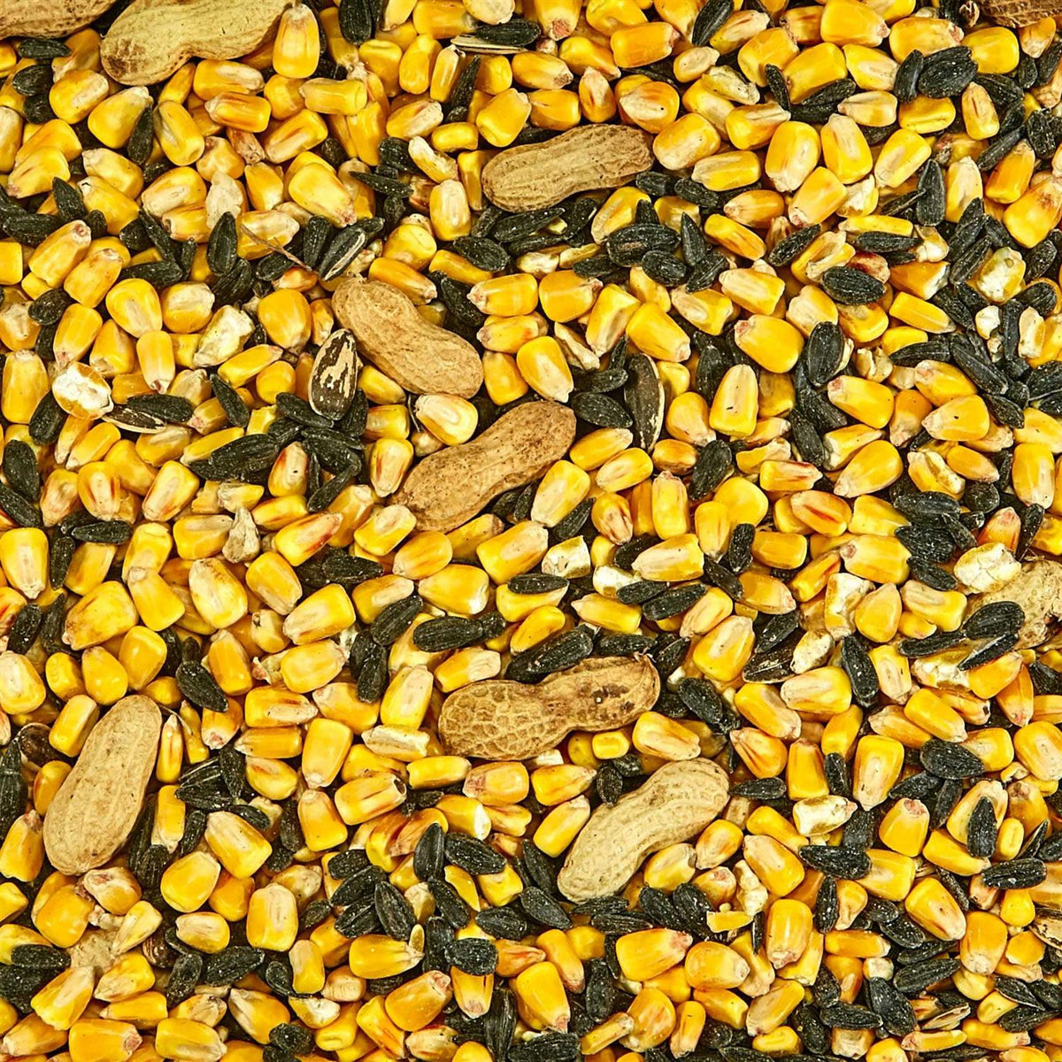 Squirrel Food W4831