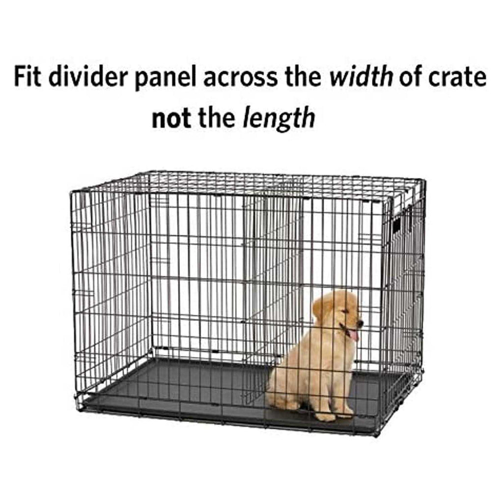 Dog Panel B13466