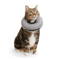 Inflatable Recovery Cat Collar V6968