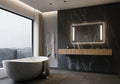 48 x 28 Rectangle Illuminated Mirror 6000K J47196