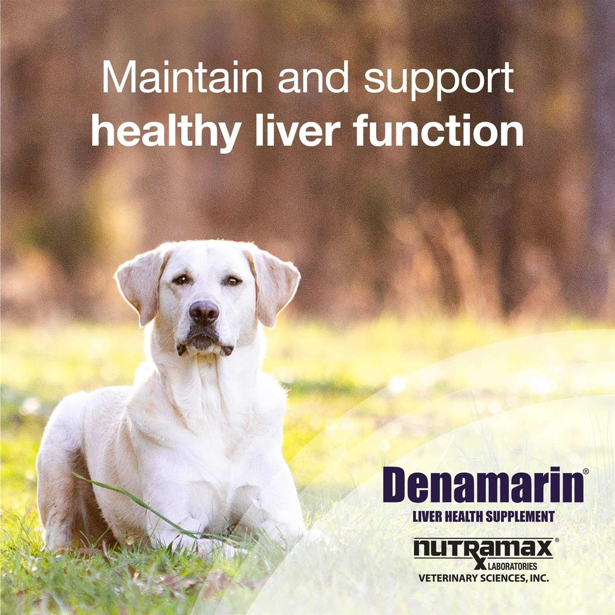 Dog Supplement J8810