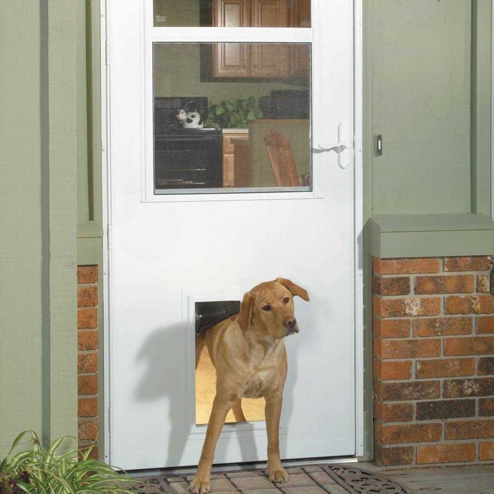 Pet Storm Door V34148