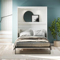 Full Wall Bed with LED Lighting U4244